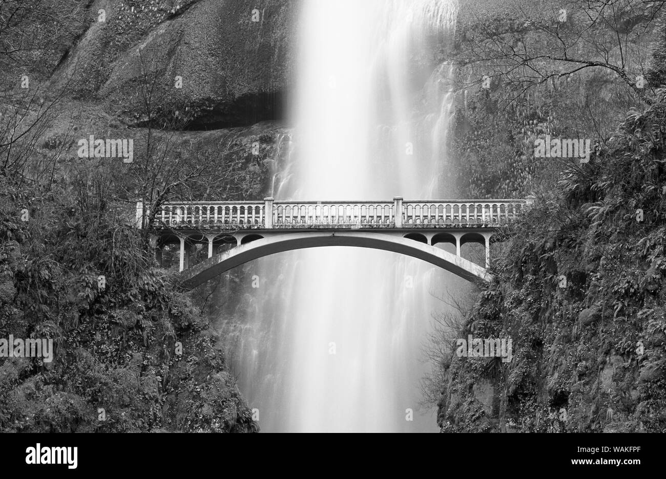 Multnomah Falls and bridge, Mount Hood National Forest, Columbia Gorge National Scenic Area, Oregon Stock Photo