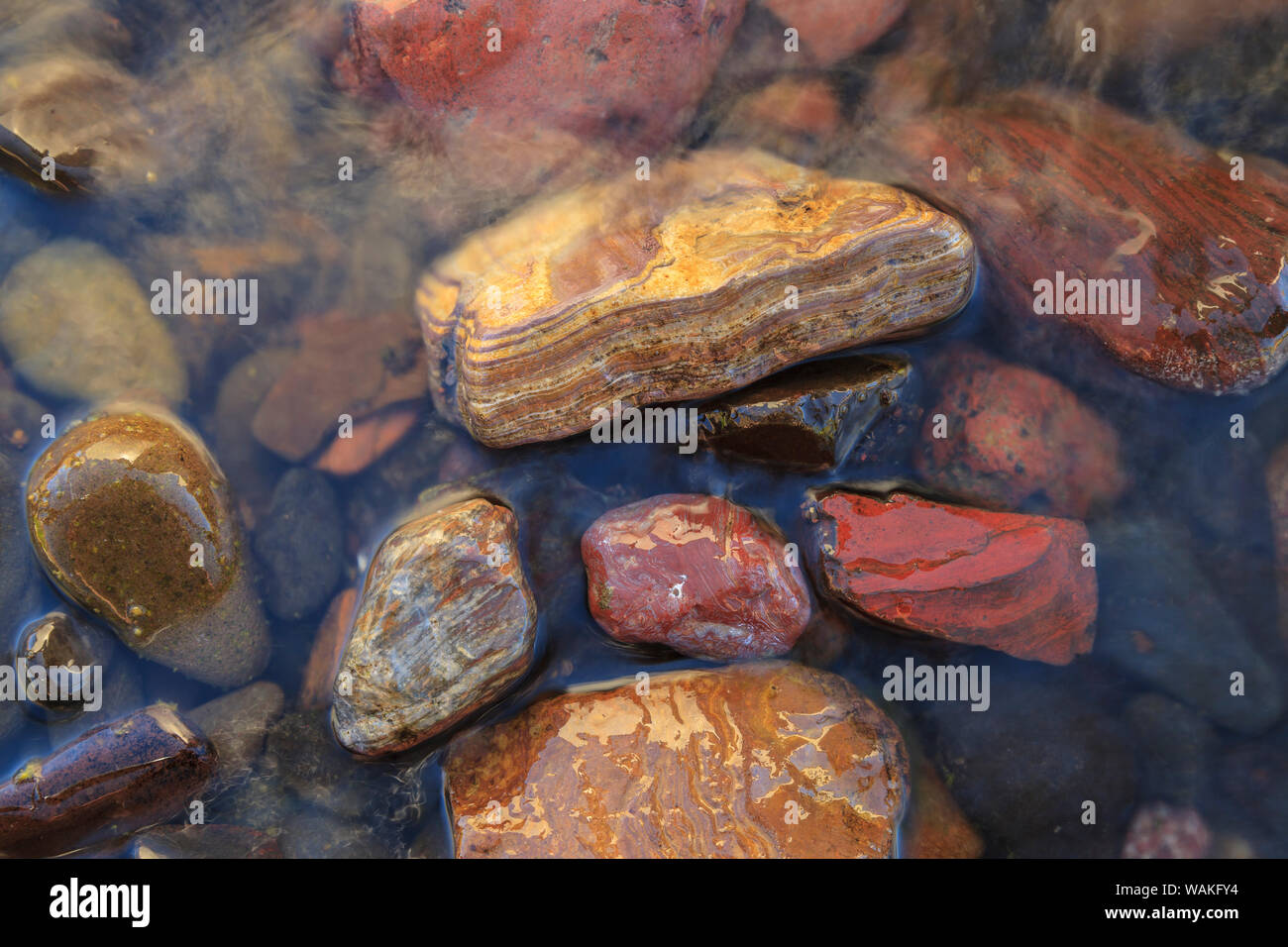 Lower deschutes river in oregon hi-res stock photography and images - Alamy