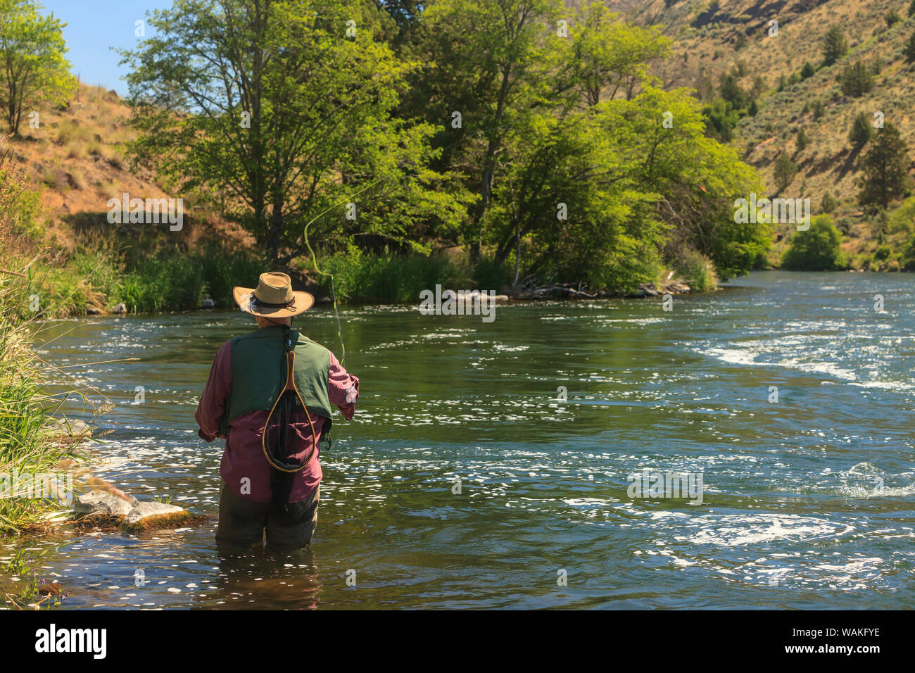 People fly fishing, Lower Deschutes River, Central Oregon, USA (MR