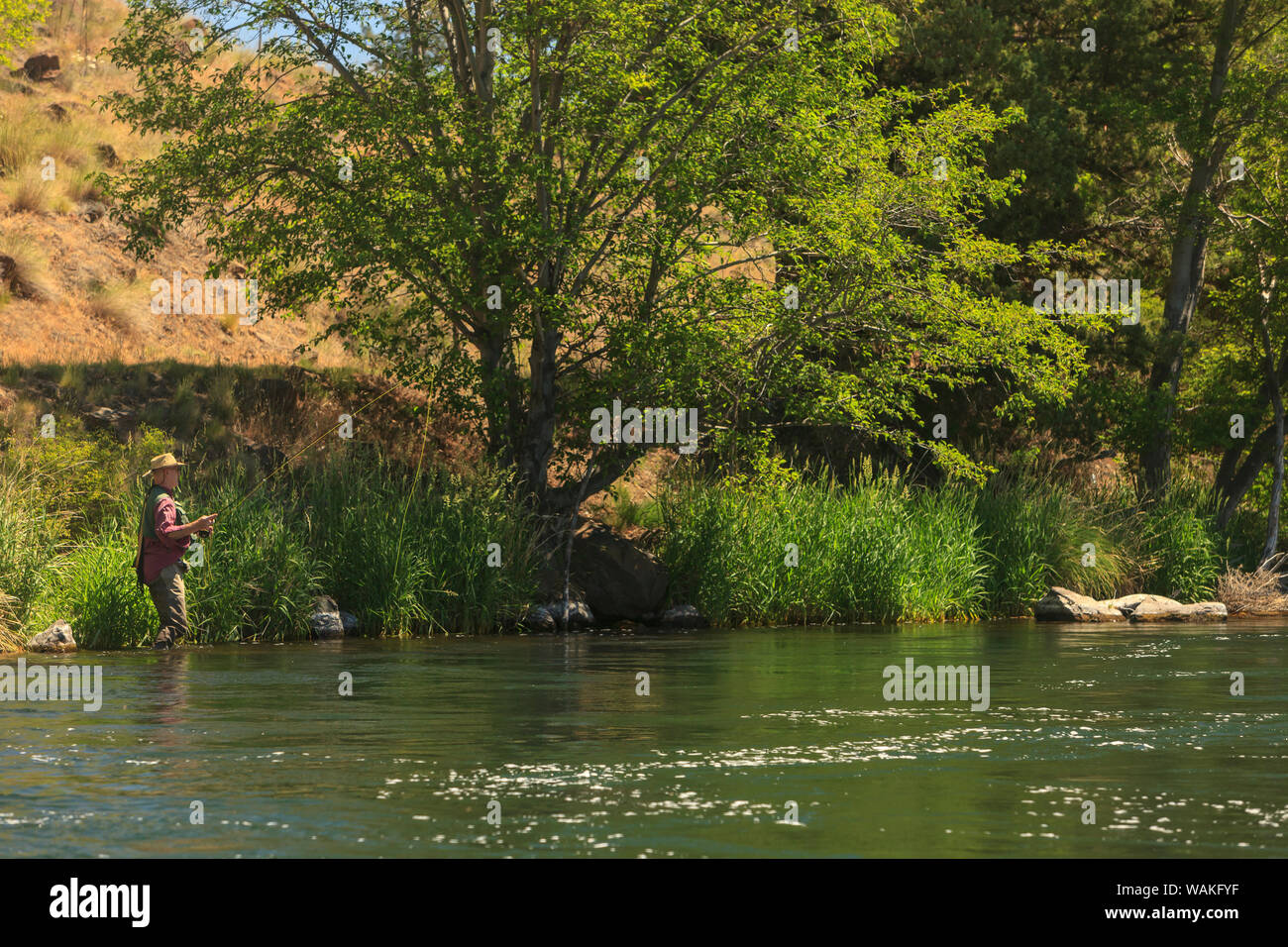 People fly fishing, Lower Deschutes River, Central Oregon, USA (MR