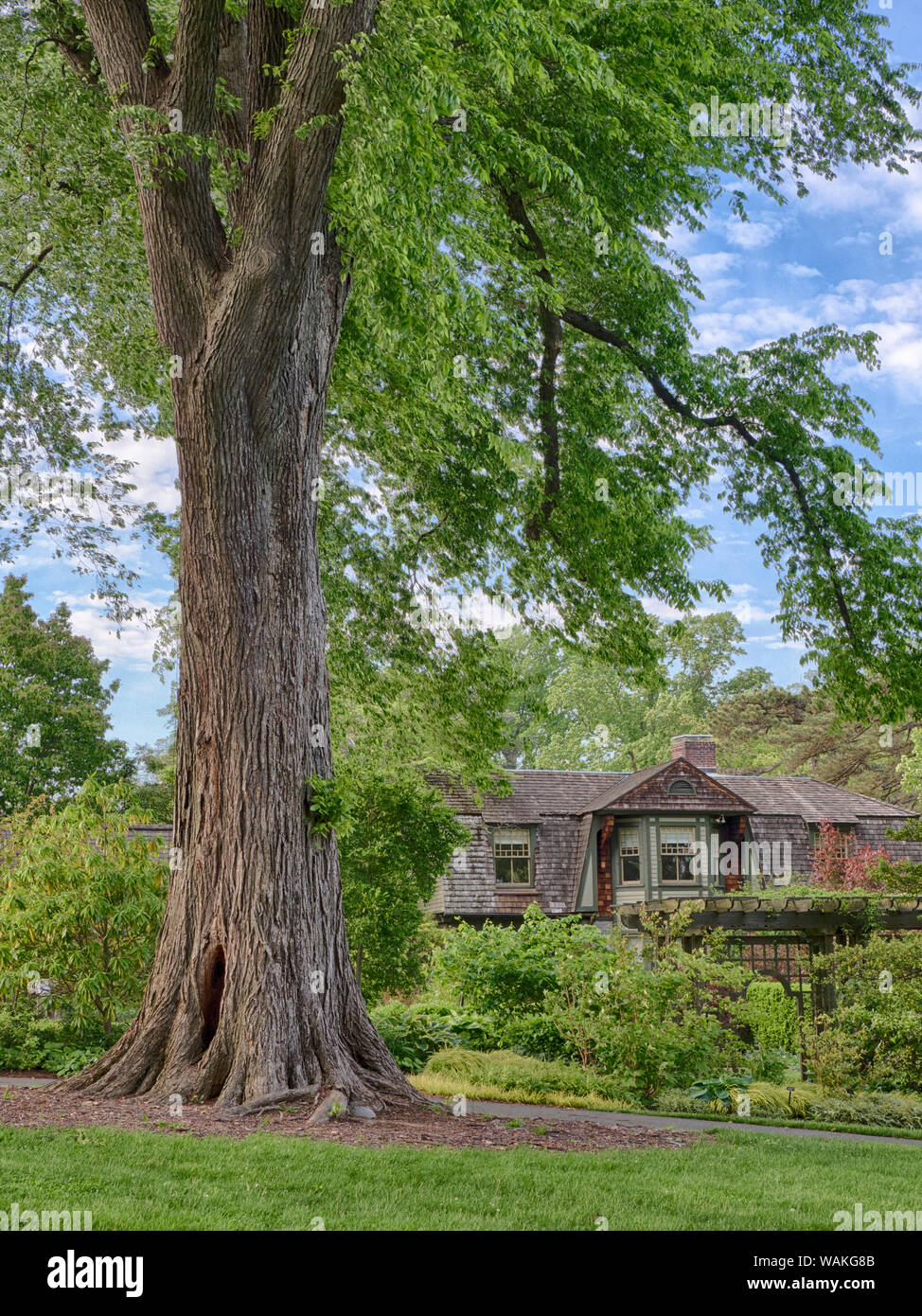 USA, Pennsylvania. Old growth tree and house in a garden setting Stock