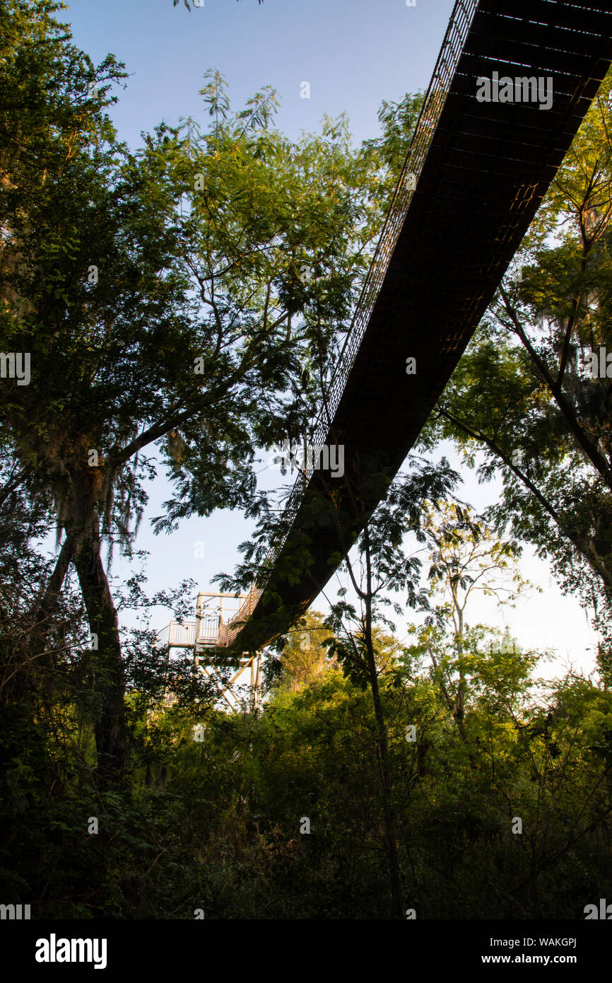 Canopy walk hi-res stock photography and images - Alamy