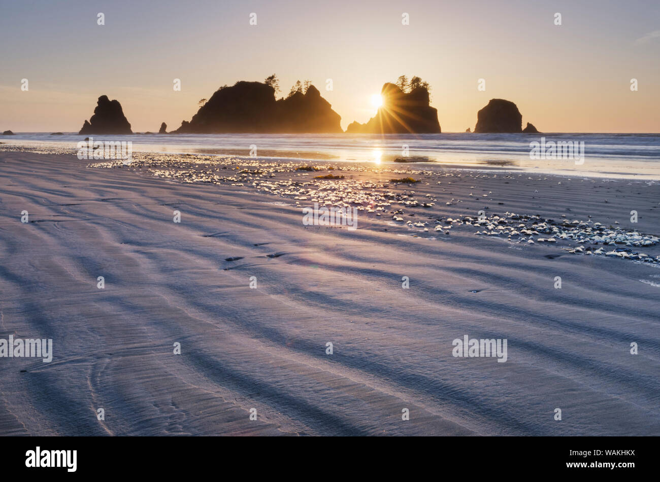 Sunset on Shi Shi Beach, sea stacks of Point of the Arches are in the distance. Olympic National Park, Washington State. Stock Photo