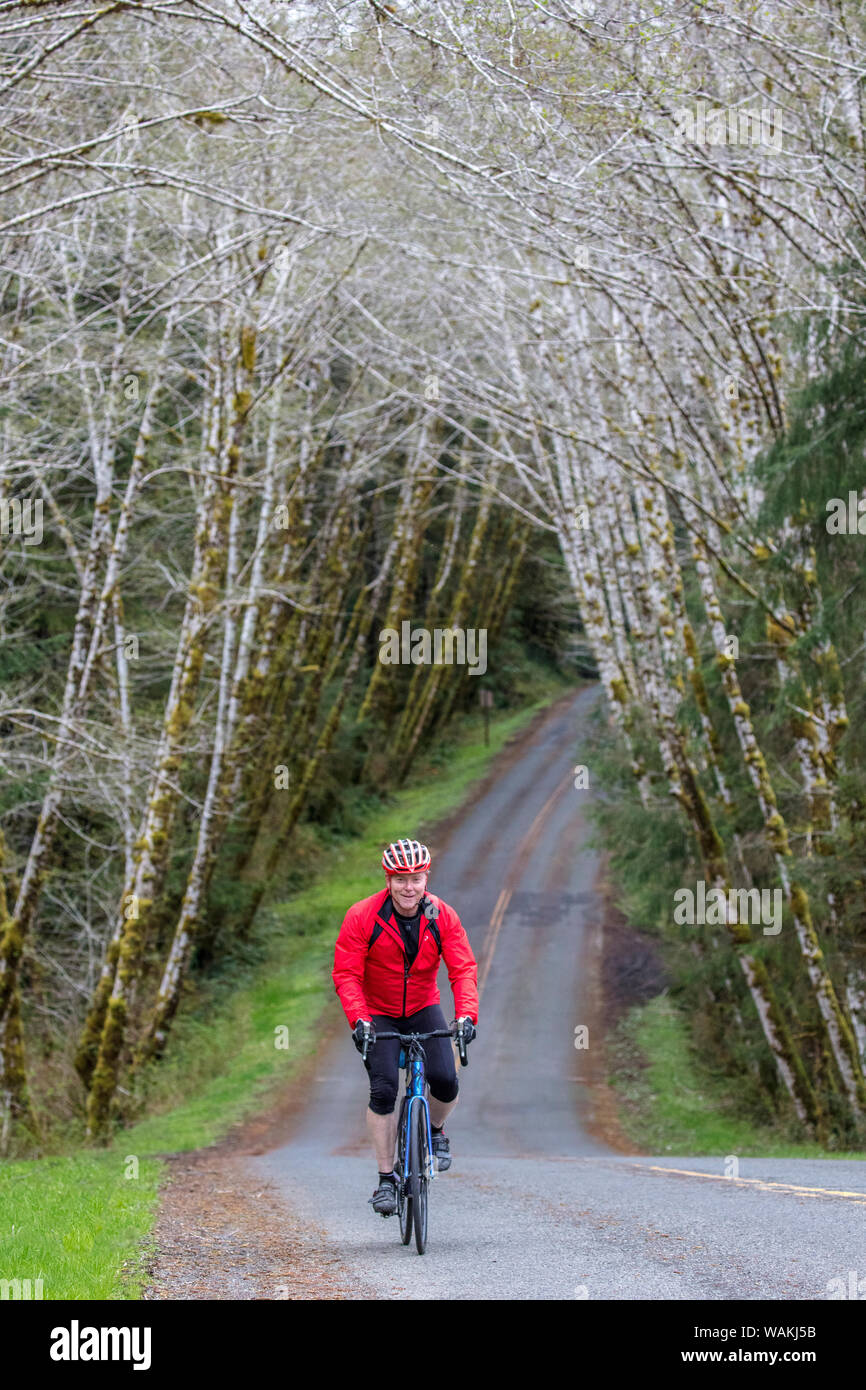 Road bicycling on the Hoh Road in Olympic National Forest, Washington State, USA (MR) Stock Photo
