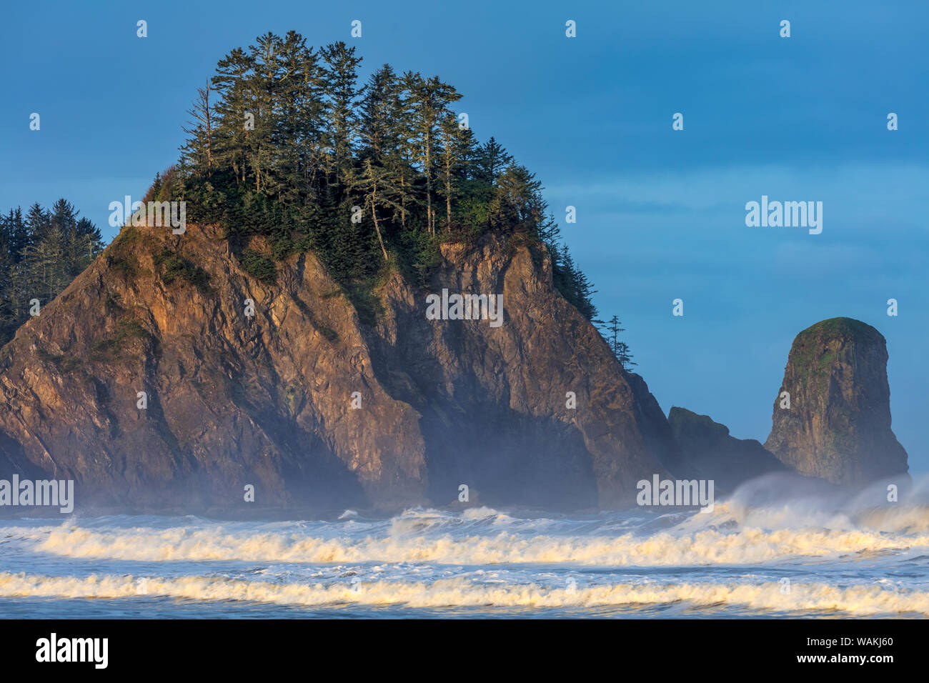 Sea stacks and waves at first light on Rialto Beach in Olympic National Park, Washington State, USA Stock Photo