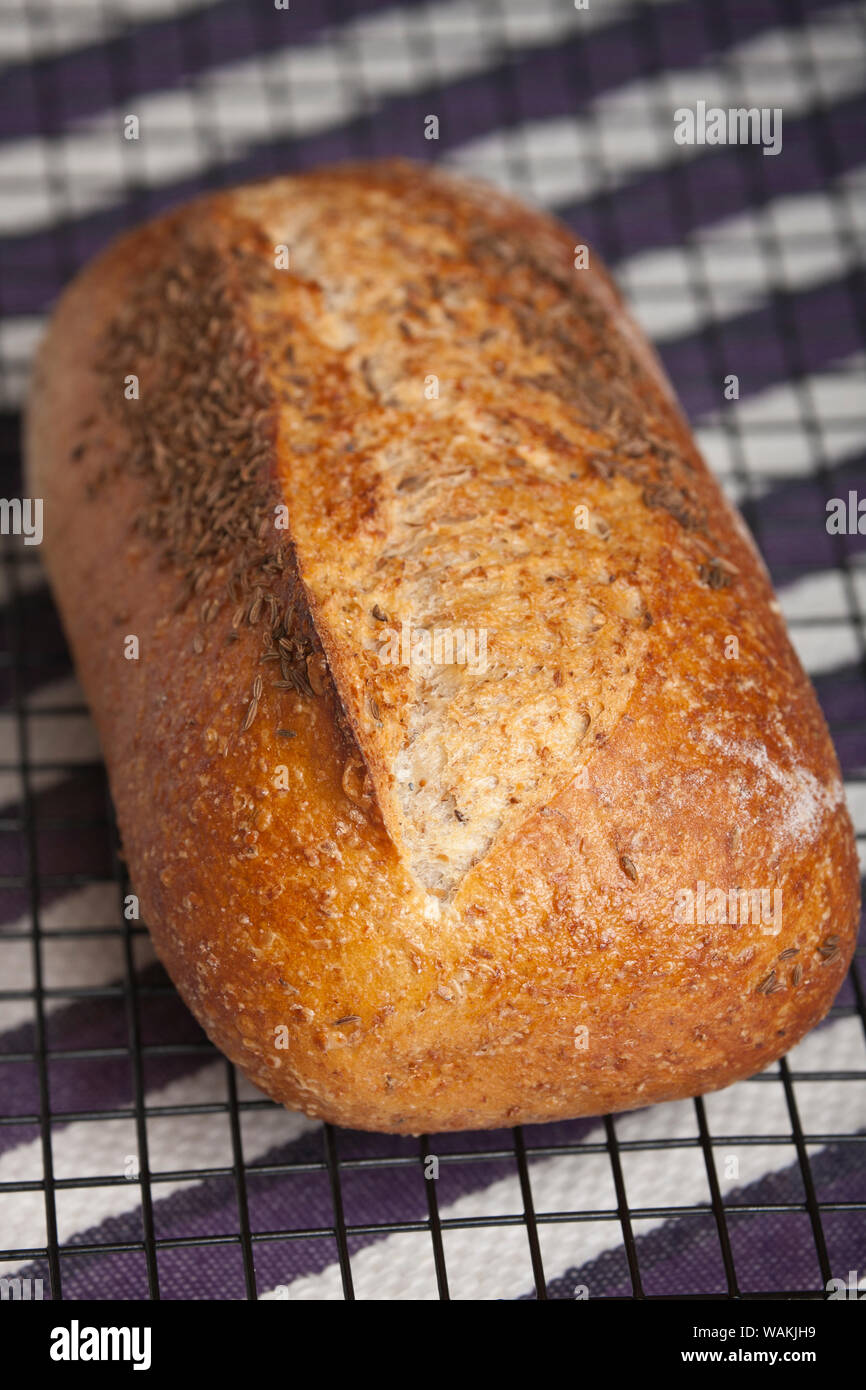 Stone milled rye bread loaf on a cooling rack on a tea towel Stock Photo