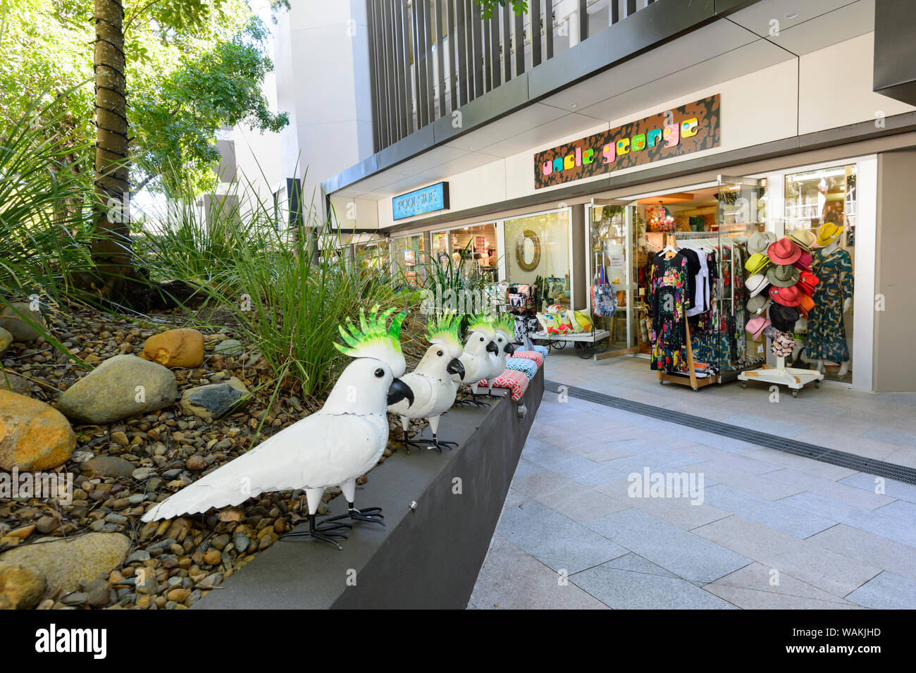 Toy Cockatoos displayed outside a souvenir shop in popular Hastings Street, Noosa Heads, Queensland, QLD, Australia Stock Photo