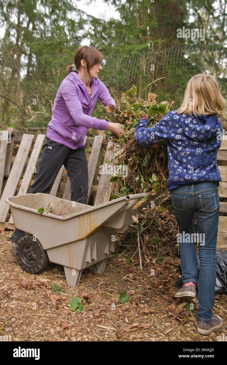 Issaquah, Washington State, USA. Woman and daughter throwing strawberry plants onto compost pile. (MR, PR) Stock Photo