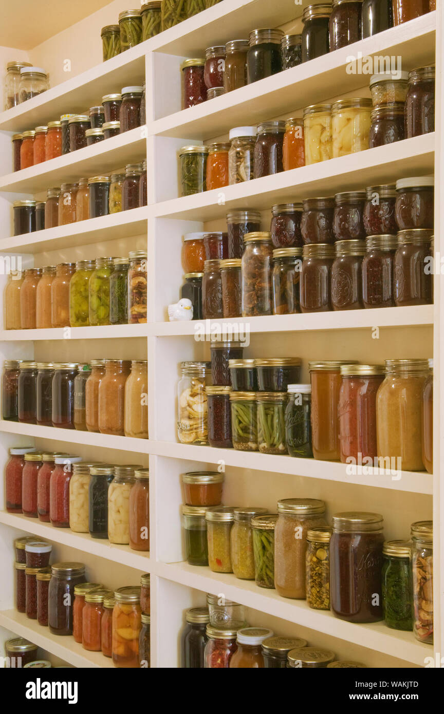 Pantry of preserved fruits and vegetables in canning jars. (PR) Stock Photo