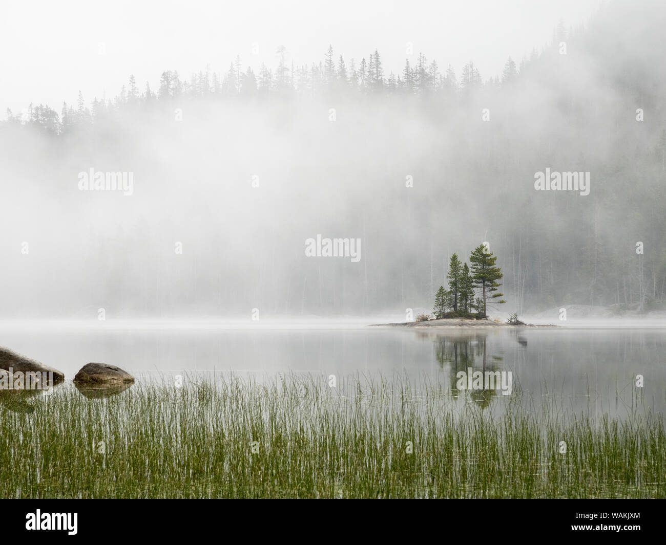 Washington State, Alpine Lakes Wilderness. Snow Lake, Island and fog Stock Photo