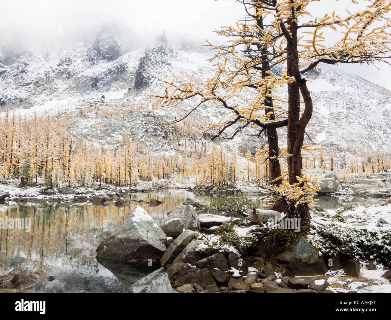 Larch trees enchantment lakes hi-res stock photography and images - Alamy