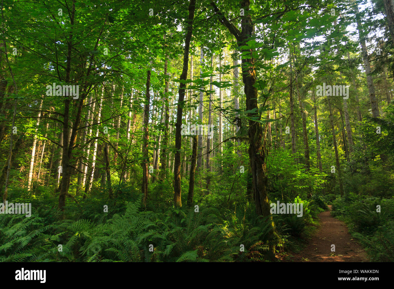 Bainbridge island, washington hires stock photography and images Alamy