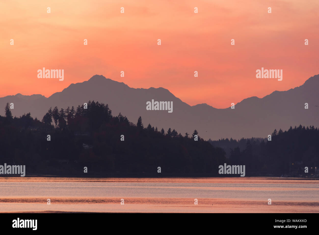 USA, Washington State. Olympic Mountains silhouetted in dramatic light. Calm Puget Sound. Stock Photo