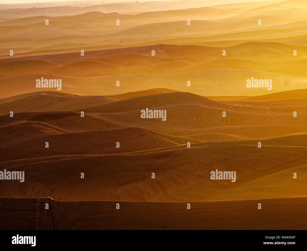 USA, Washington State, Palouse Region. Sunset over rolling hills with dust in the air Stock Photo