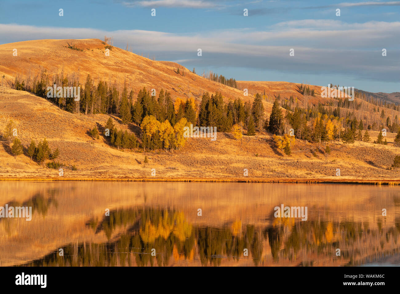 USA, Wyoming, Yellowstone National Park, Swan Flats. Swan Flats in the autumn at dawn. Stock Photo