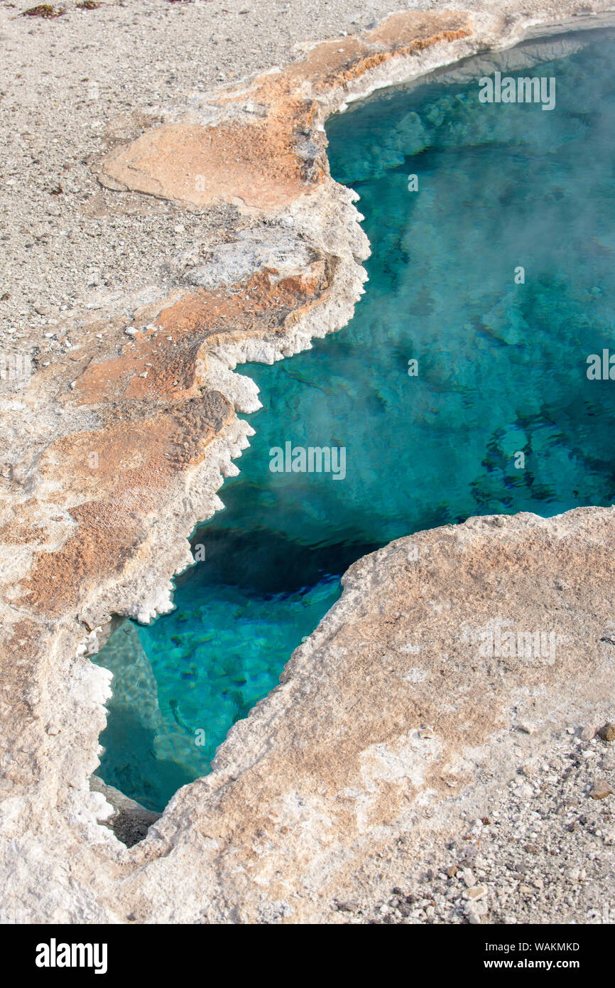 Yellowstone National Park, Wyoming, USA. Blue Star Spring is located in Upper Geyser Basin. Stock Photo