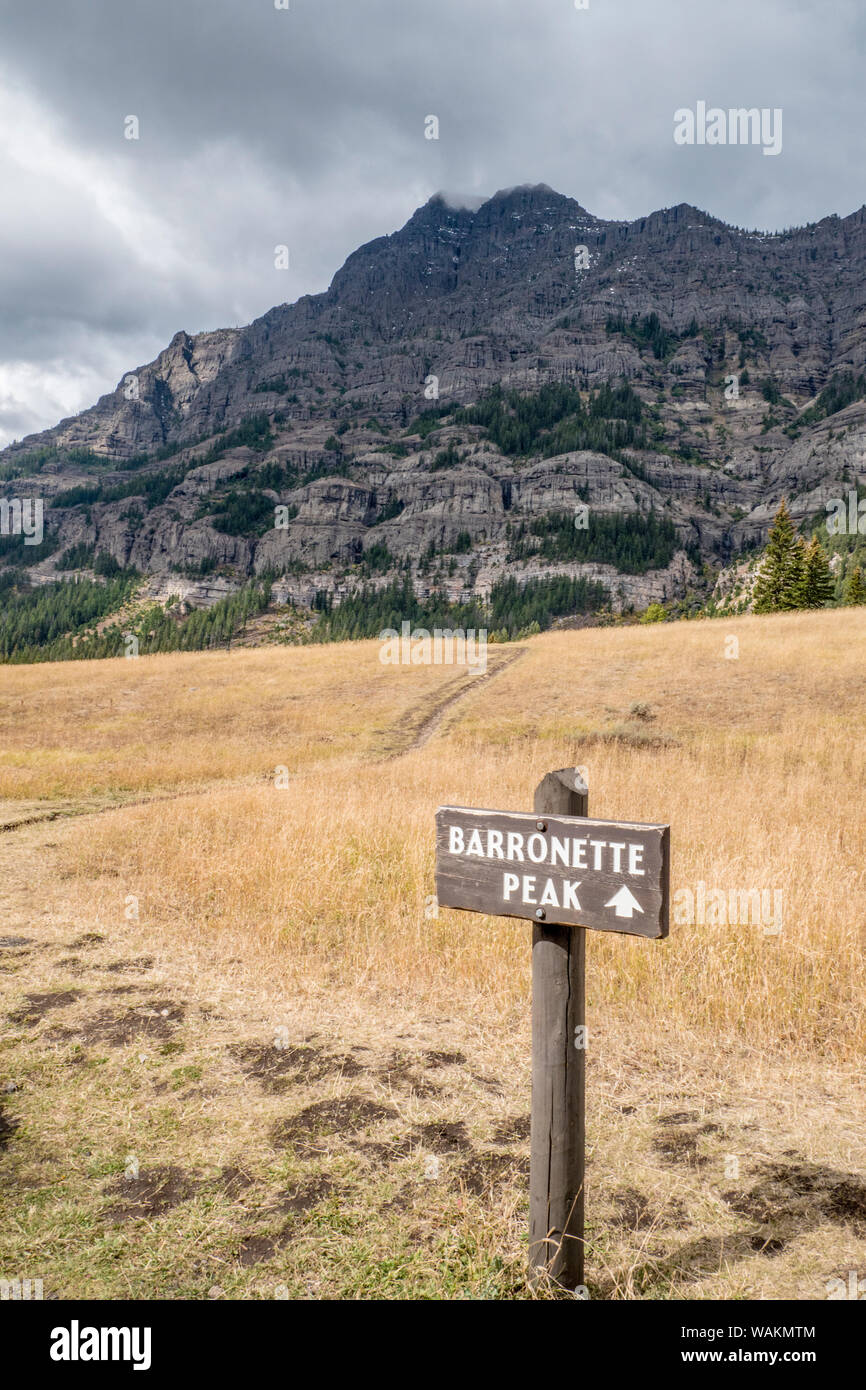 lamar valley trail