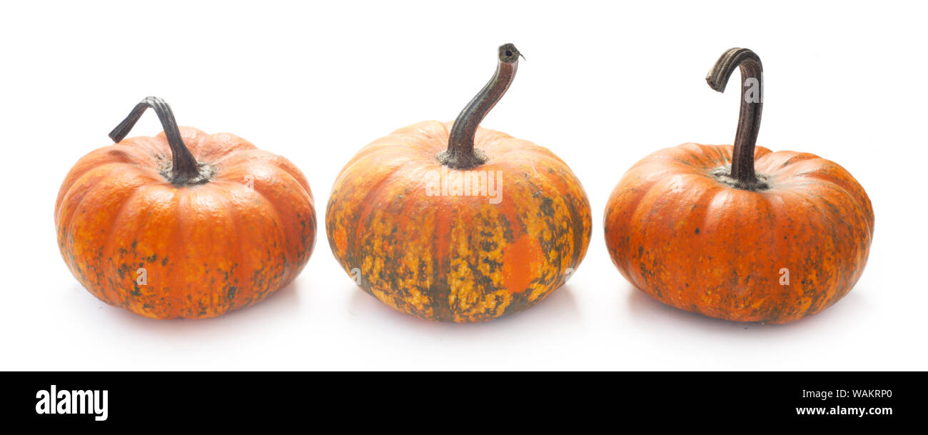 Three pumpkins isolated on hi-res stock photography and images - Alamy