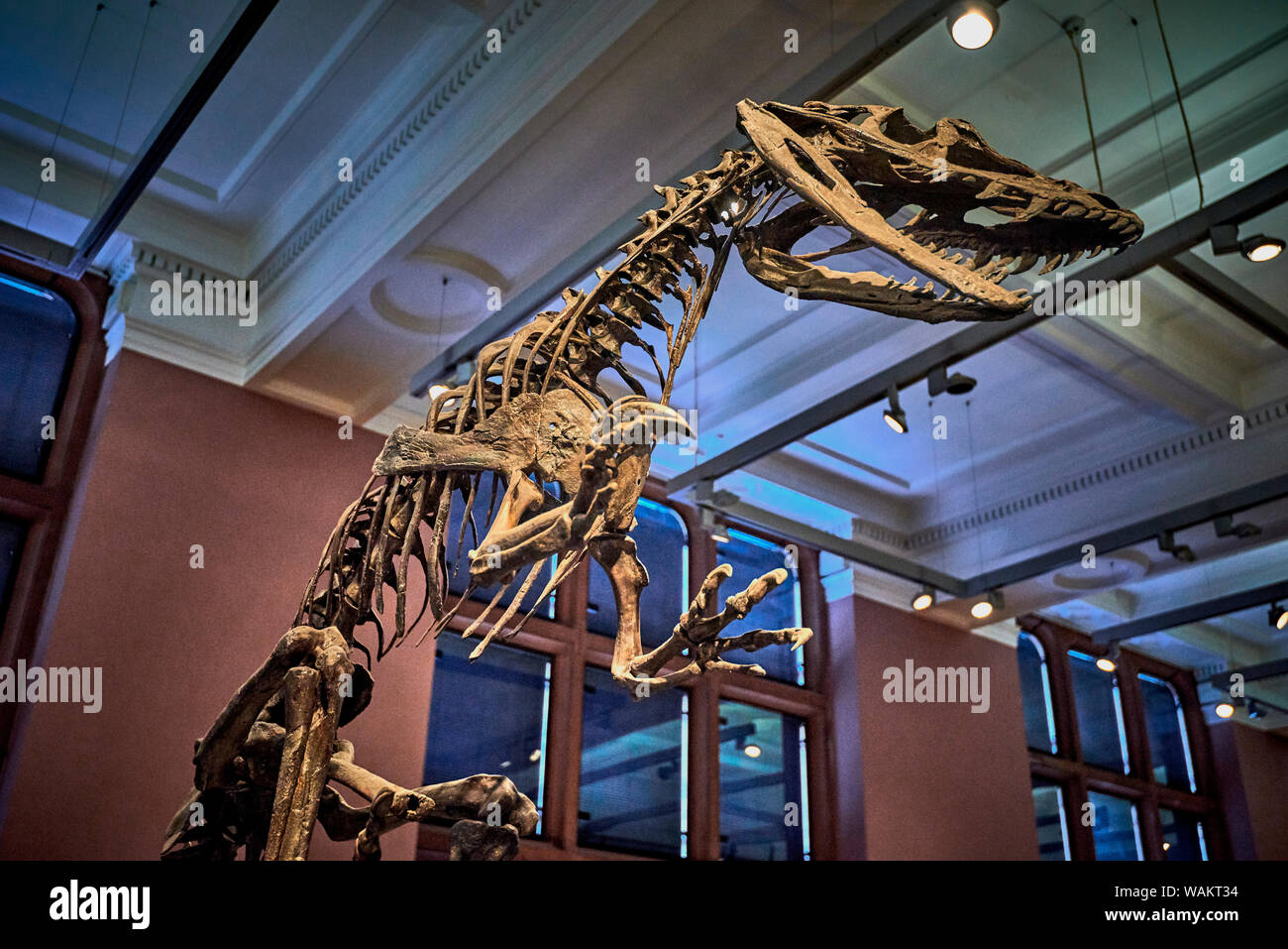 Kelvingrove (GLAS1) Stock Photo