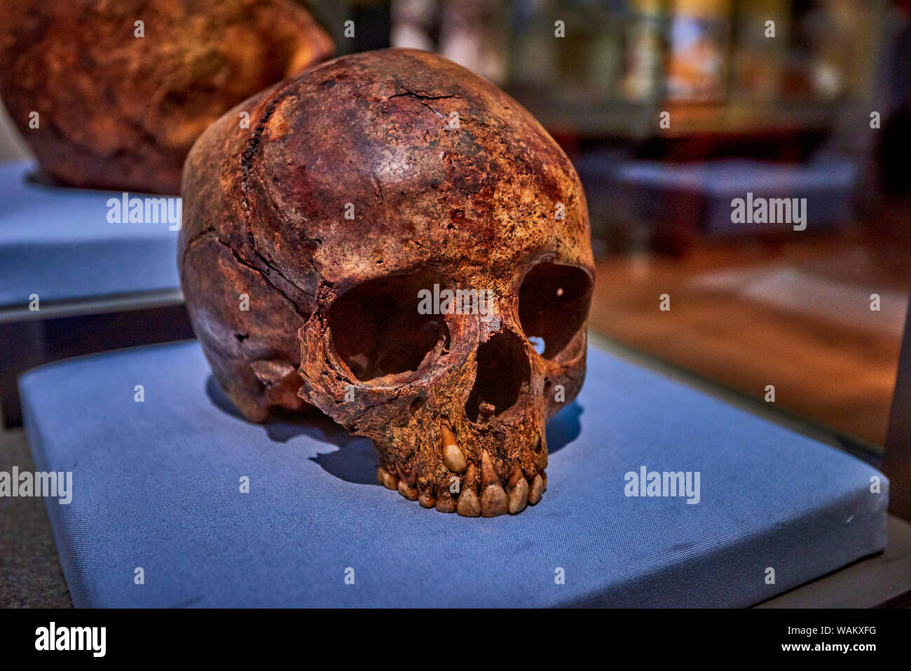 Kelvingrove (GLAS1) Stock Photo