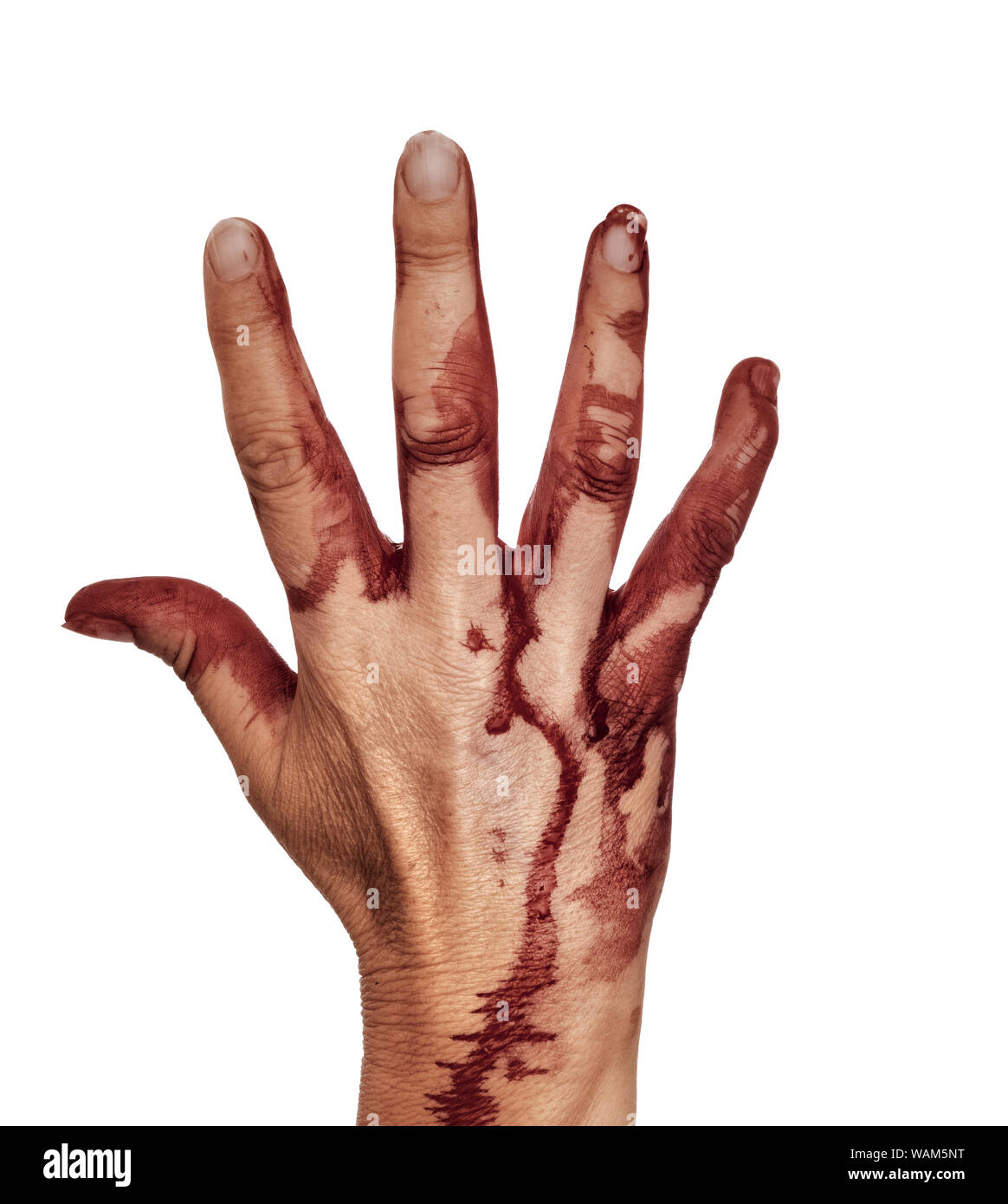Bloody hand, isolated on white. Female. Halloween etc. Stock Photo