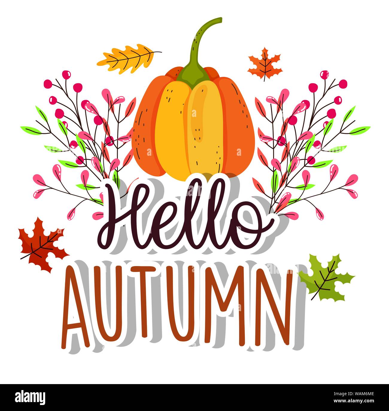 hello autumn season inscription pumpkin leaves vector illustration ...