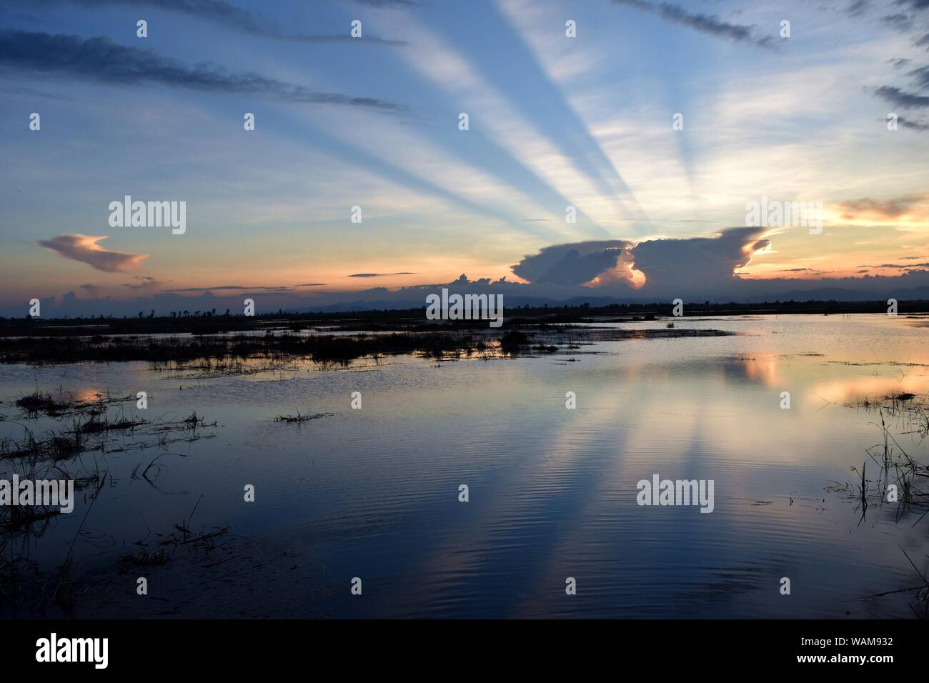 Dark blue sky over the marsh at sunset, Horizon is orange with light beam shooting out from behind dark clouds Stock Photo