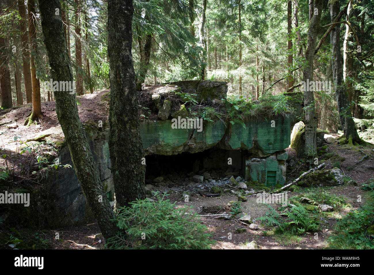 blasted bunker 107 of the Sigfried line in the Huertgen Forest near Raffelsbrand, North Rhine-Westphalia, Germany.  gesprengter Bunker 107 des Westwal Stock Photo