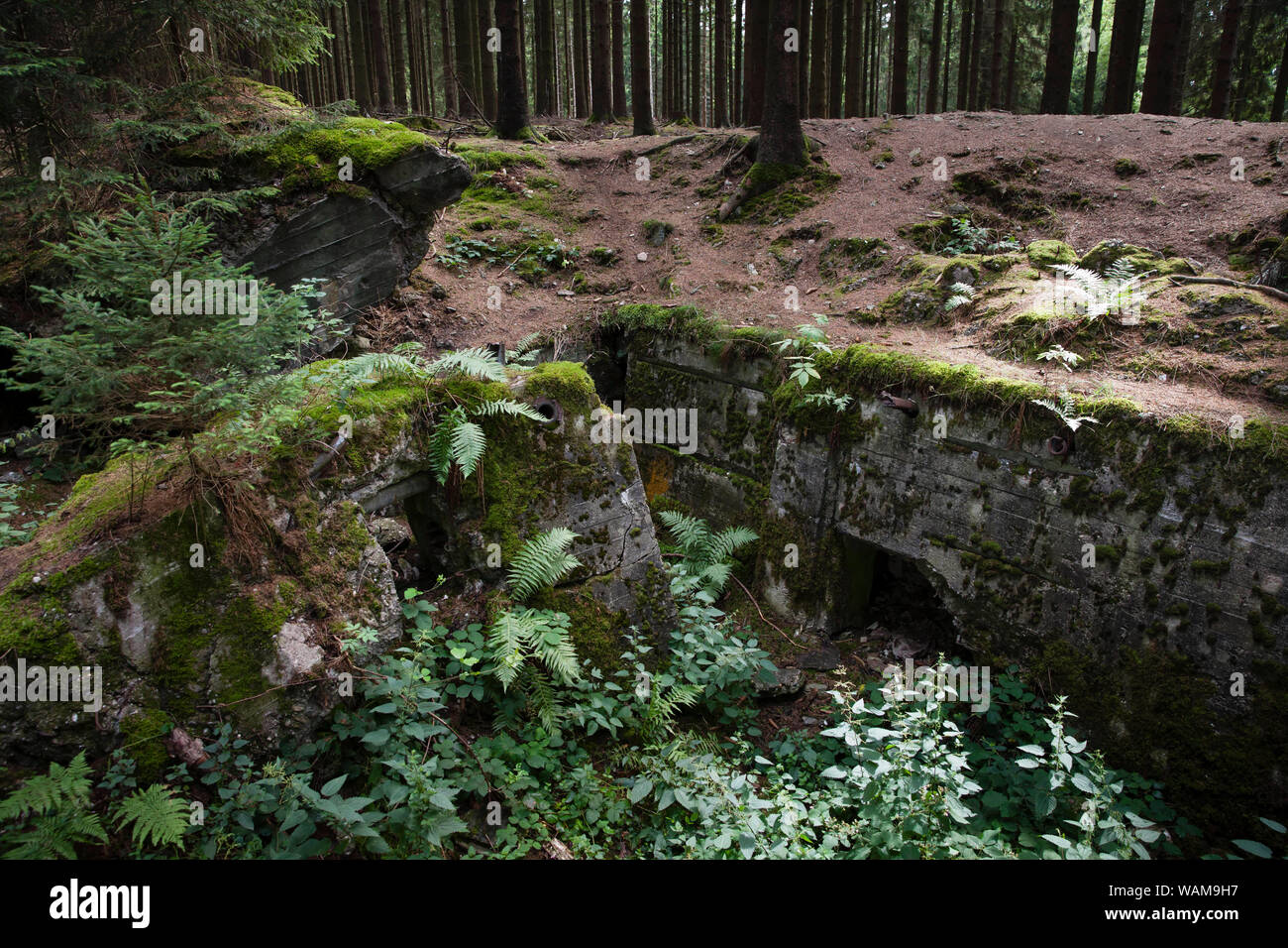 blasted bunker 113 of the Sigfried line in the Huertgen Forest near Raffelsbrand, North Rhine-Westphalia, Germany.  gesprengter Bunker 113 des Westwal Stock Photo