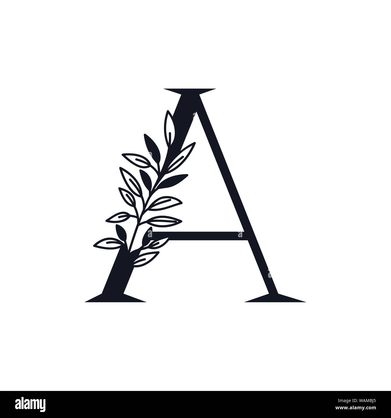 Letter A Calligraphy High Resolution Stock Photography and Images - Alamy