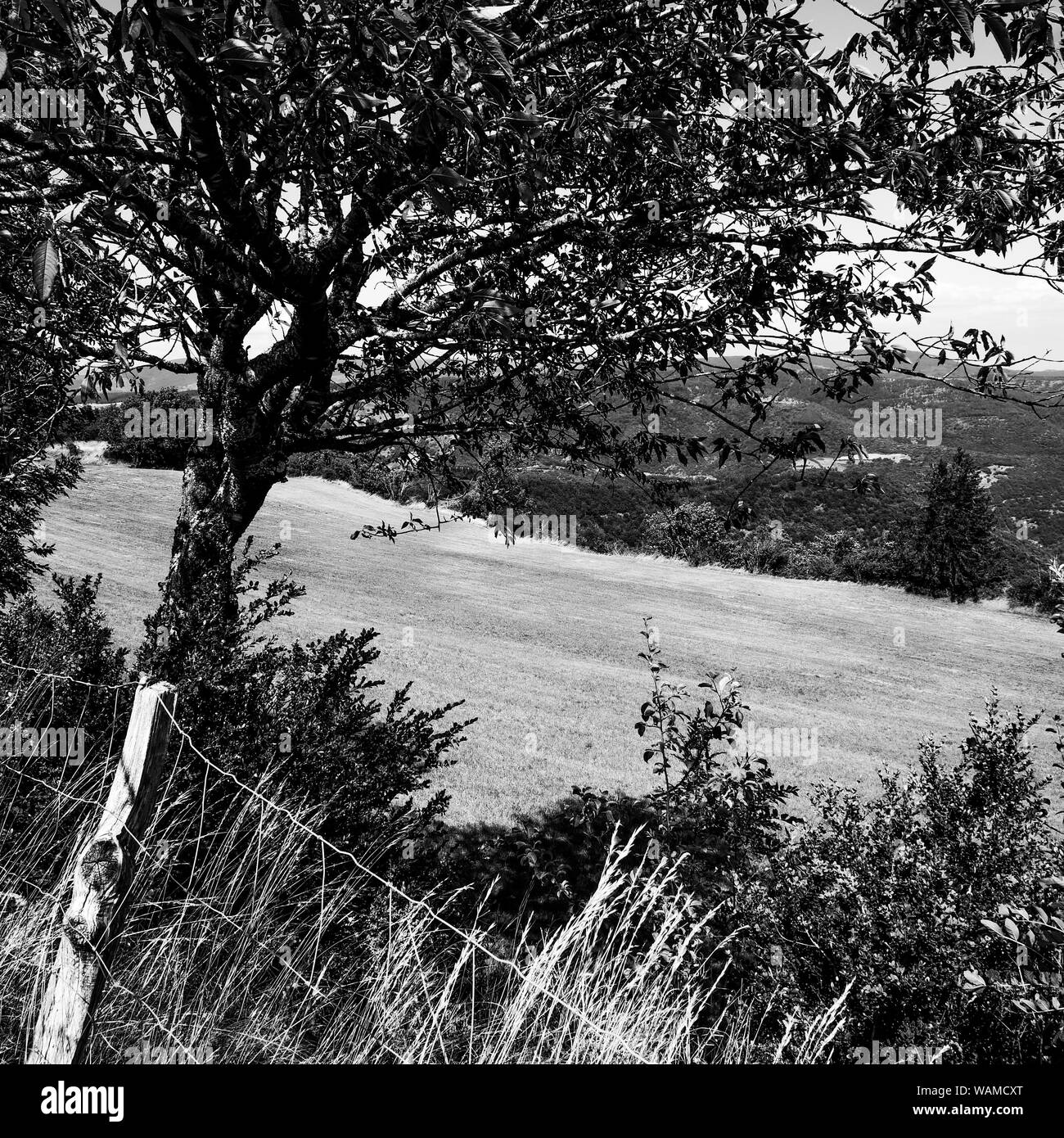 Landscape - Filtered view - Site du Tableau, Corniche des Cévennes, Gard, France, Stock Photo