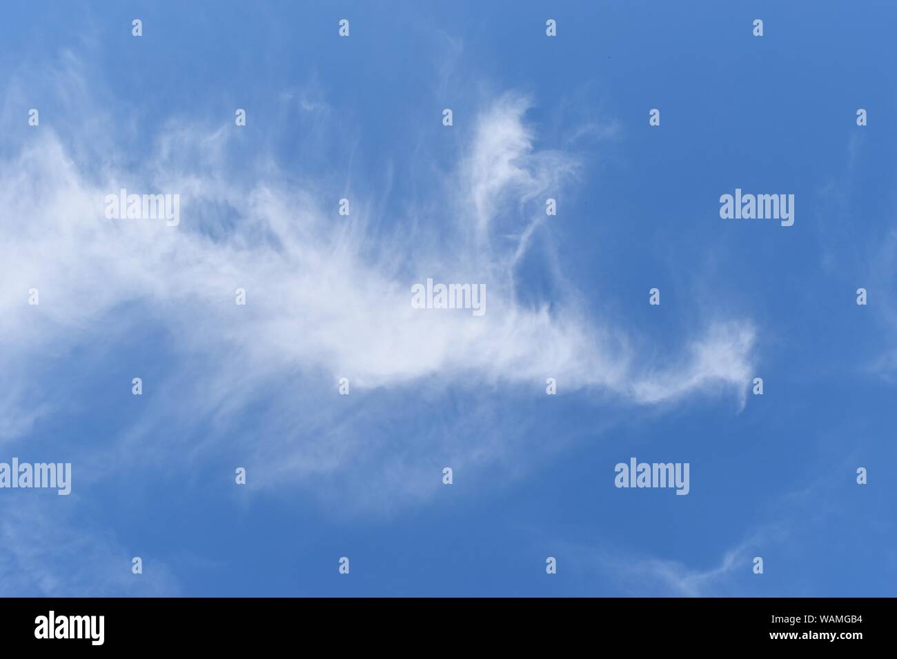 The white peacock fly, Cloud shaped like an animal, Dramatic cloudscape area on blue sky Stock Photo