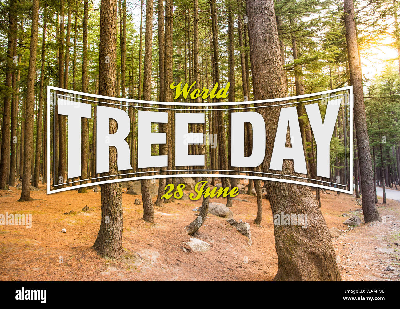 Text of World tree day 28 June, Love nature concept Stock Photo