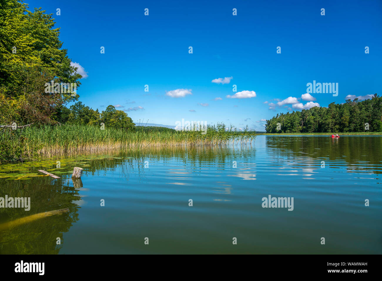 Der Muckersee Jezioro Mokre Im Unesco Biospharenreservat Masurische Seen Bei Krutyn Ermland Masuren Polen Europa Wet Lake Jezioro Mokrel At The U Stock Photo Alamy