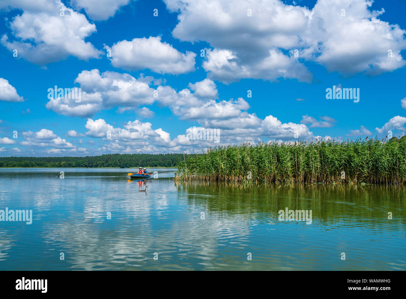 Der Muckersee Jezioro Mokre im UNESCO Biosphärenreservat Masurische Seen  bei Krutyn, Ermland-Masuren, Polen, Europa | Wet Lake Jezioro MokreL at the  U Stock Photo - Alamy