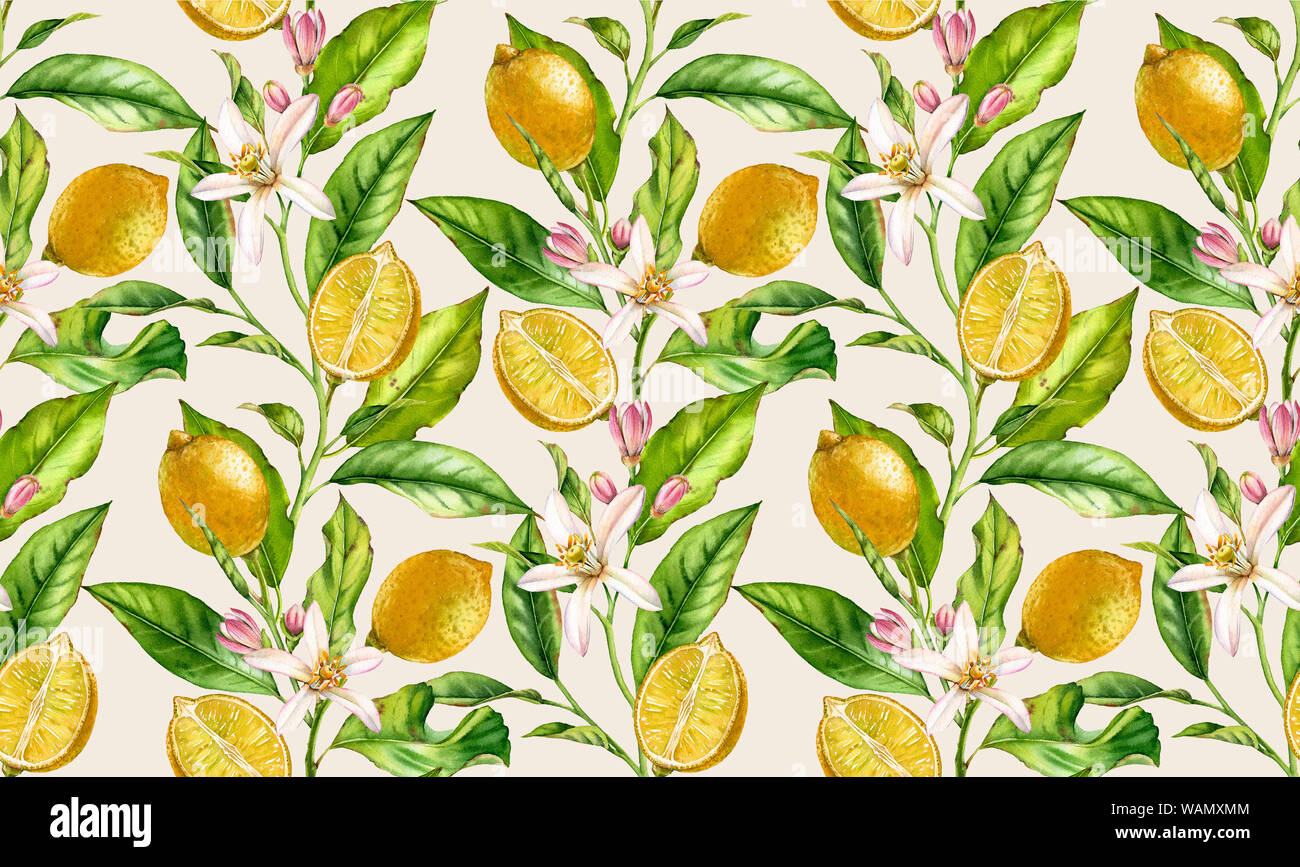 Lemon branch seamless pattern watercolor fruit tree with flowers realistic botanical floral surface design: whole half citrus leaves on cream beige ba Stock Photo