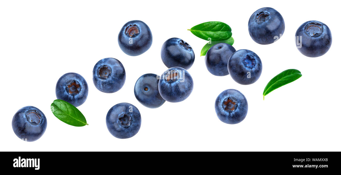 Blueberry isolated on white background with clipping path Stock Photo