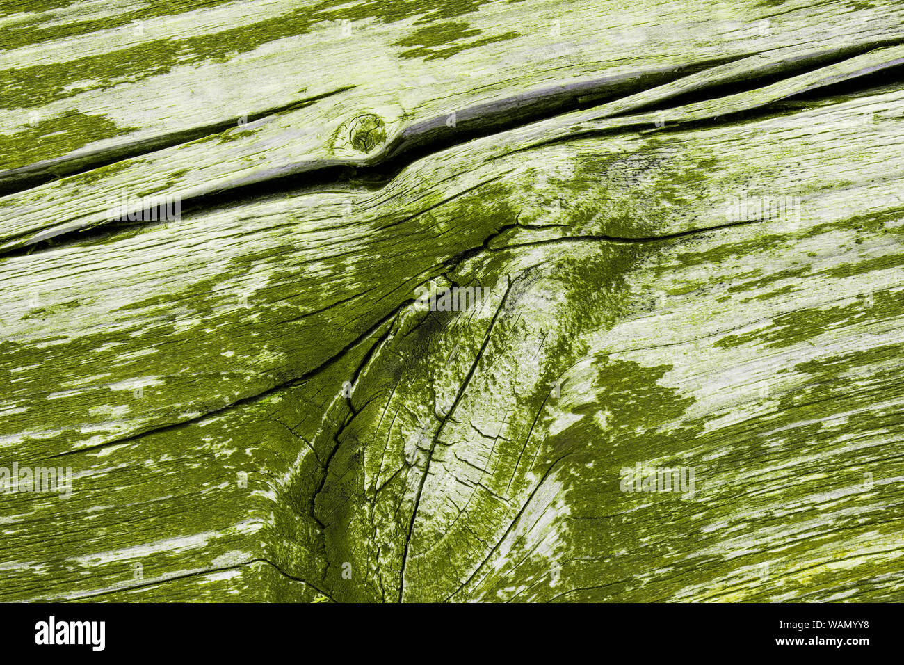 Green painted wood texture for background Stock Photo Alamy