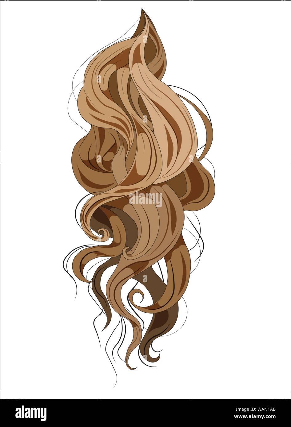 vector ringlets of hair, long and curling, brown Stock Vector Image