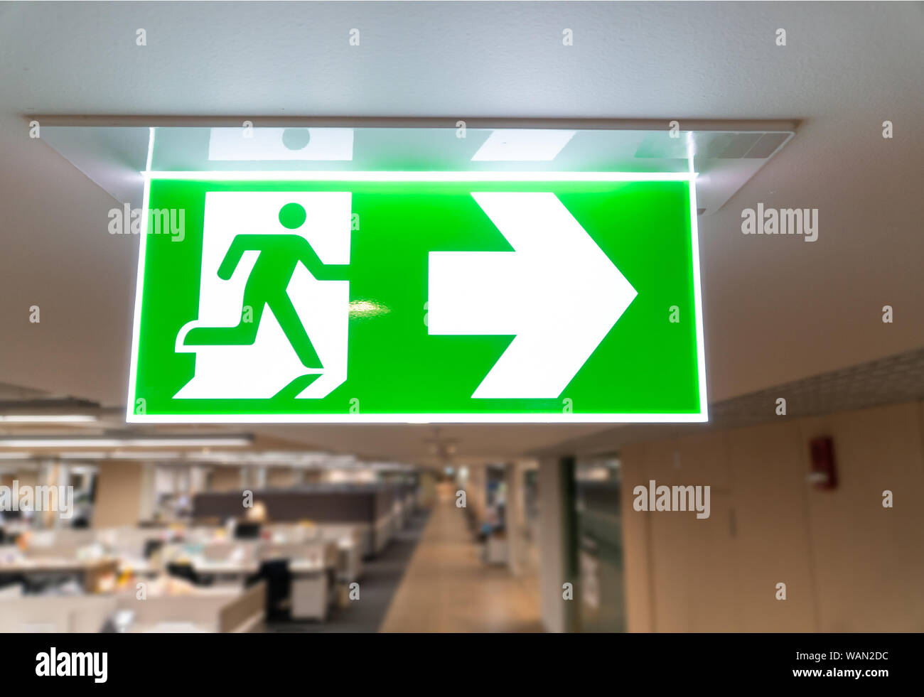 Green Fire Escape Sign Hang On The Ceiling In The Office Stock