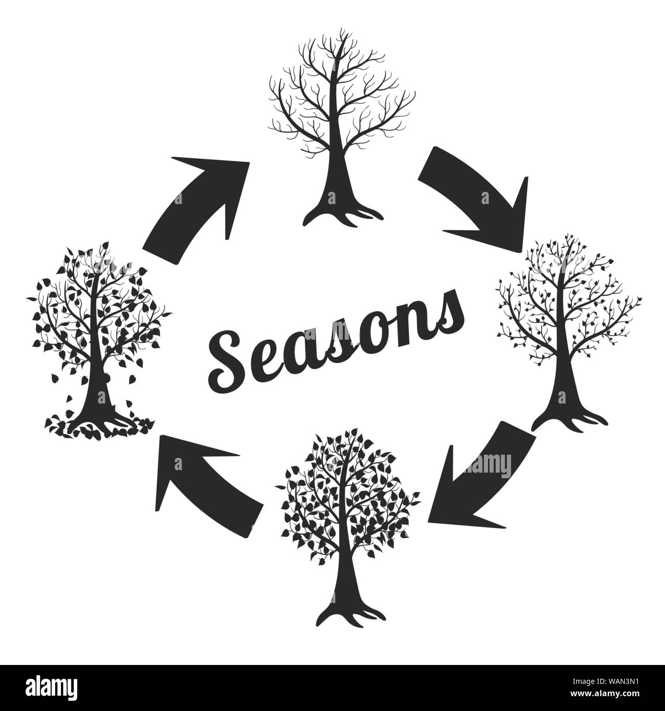 Illustration four seasons tree Black and White Stock Photos & Images ...