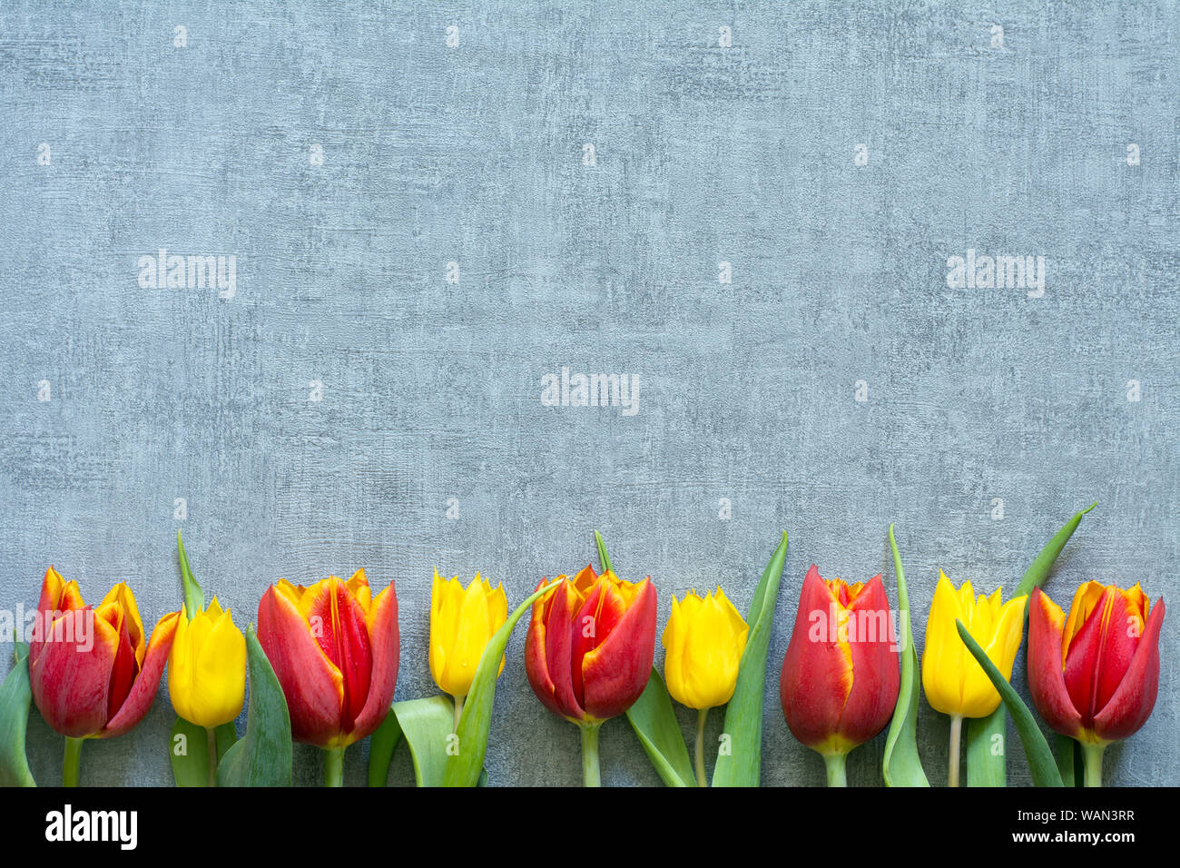 Spring Background Red Grey Red yellow and green leaves hi-res stock photography and images - Alamy
