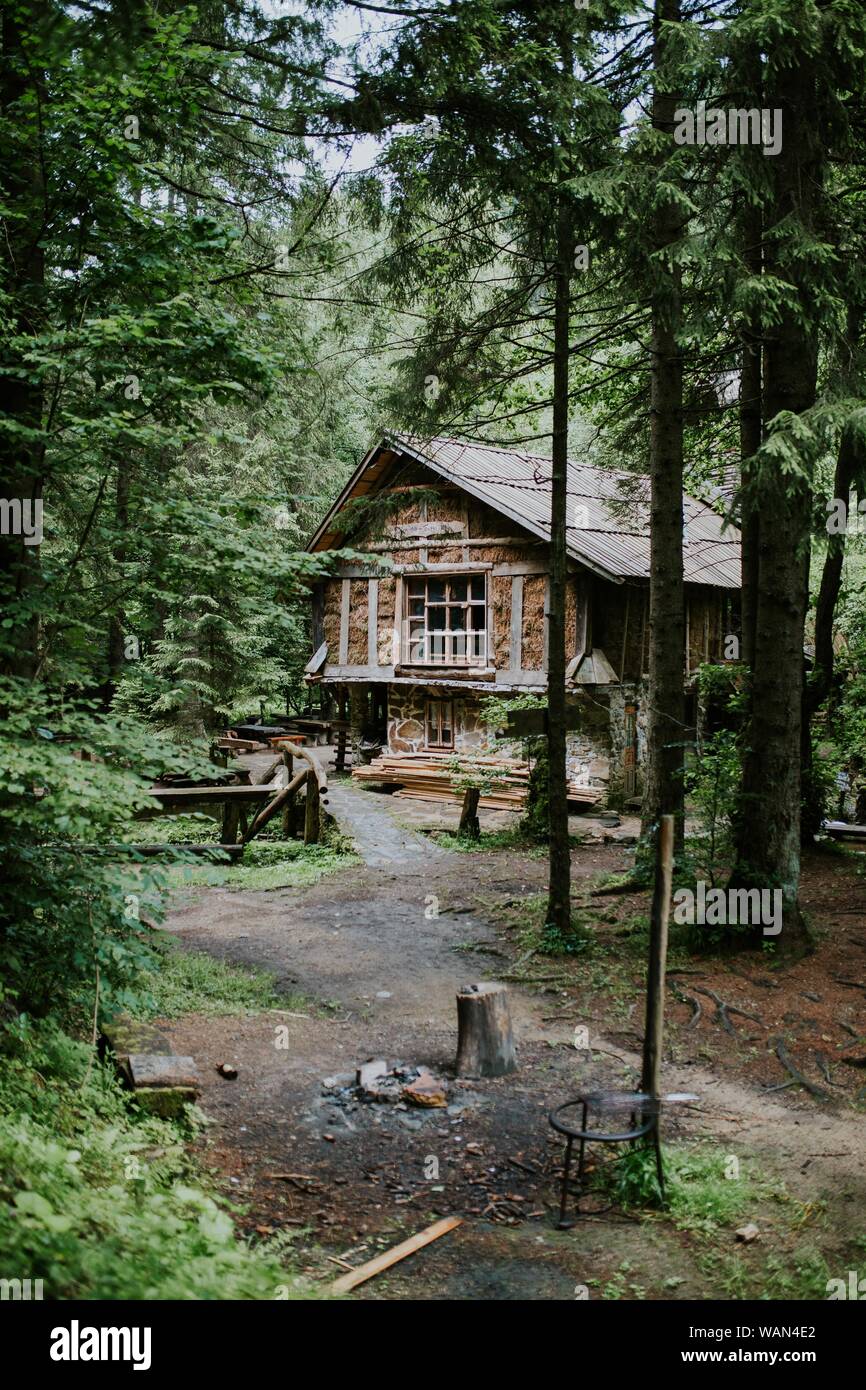 A Vertical Shot Of A Wooden Cabin In The Woods Surrounded By Tall