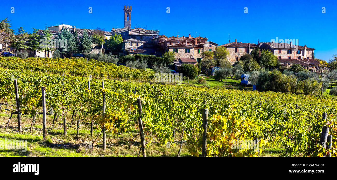 Traditional village and vineyards in Tuscany,Chianti region,Italy. Stock Photo
