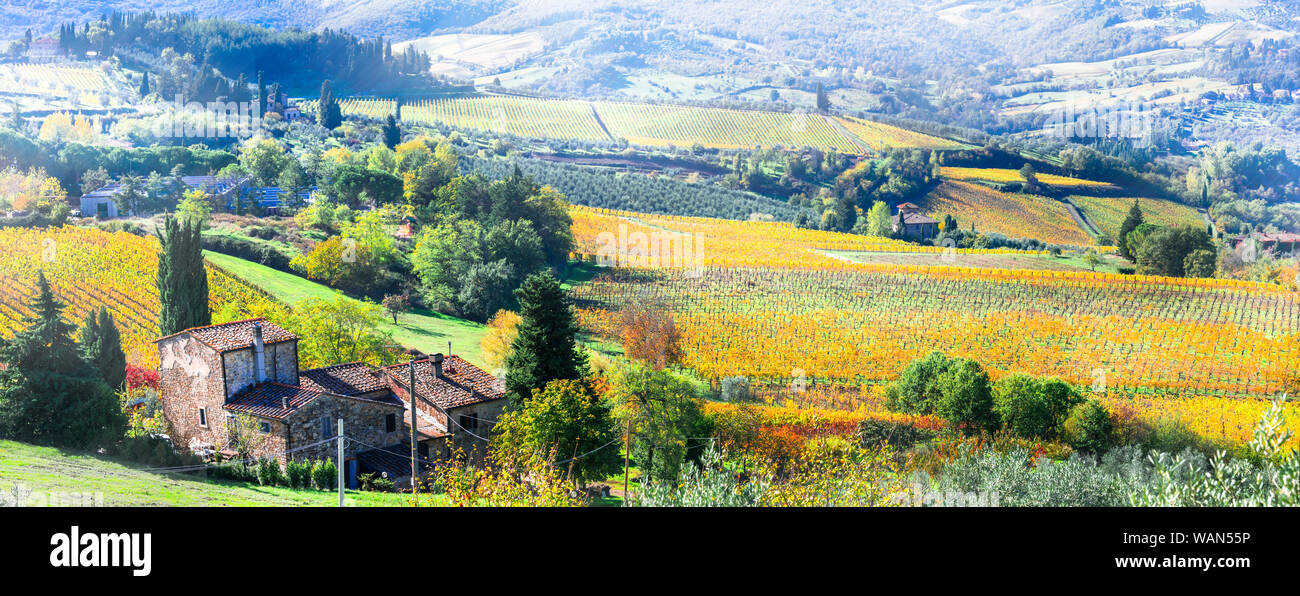 Impressive landscape of Tuscany,Chianti region,view with vineyards and hills,Italy. Stock Photo