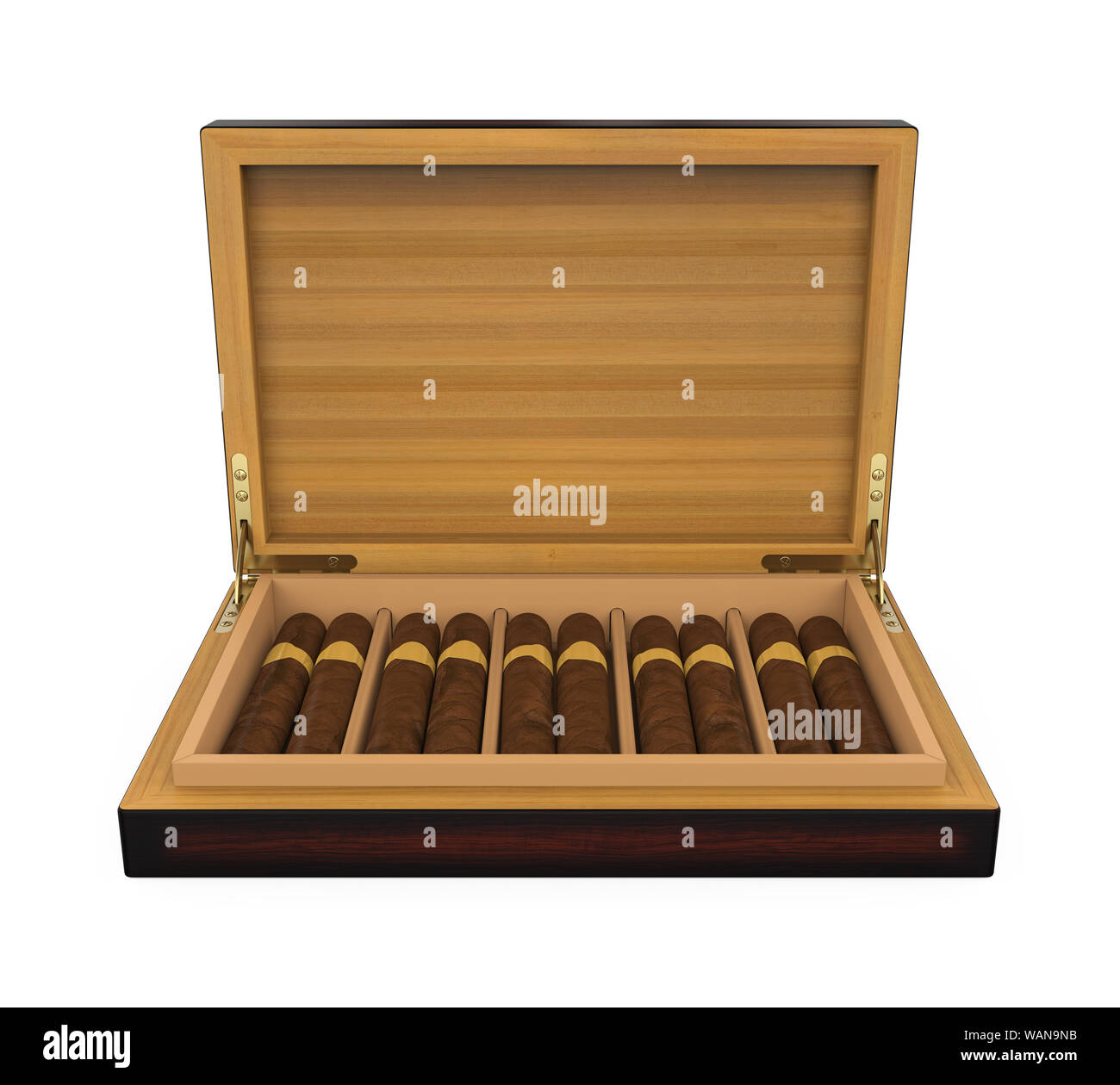 Cigars in the Humidor Isolated Stock Photo Alamy