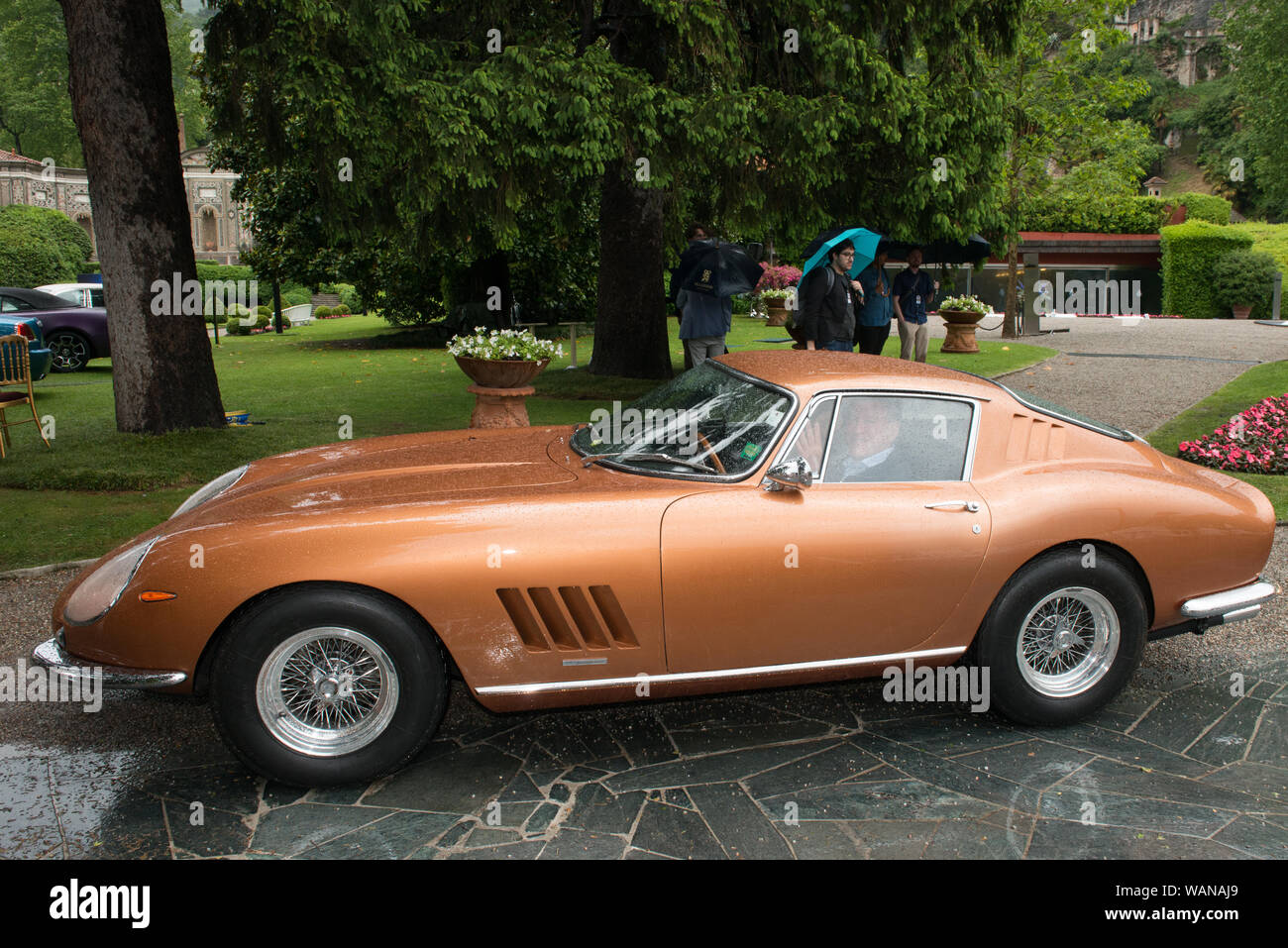 Ferrari 275 Gtb 4 Seen At The Concourse D Eleganza Villa D Este 2019 Stock Photo Alamy