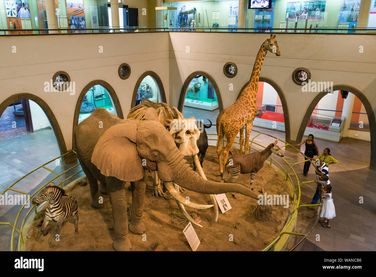 Elephant ahmed marsabit hires stock photography and images Alamy