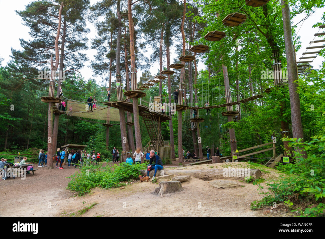 Go Ape High Resolution Stock Photography And Images Alamy