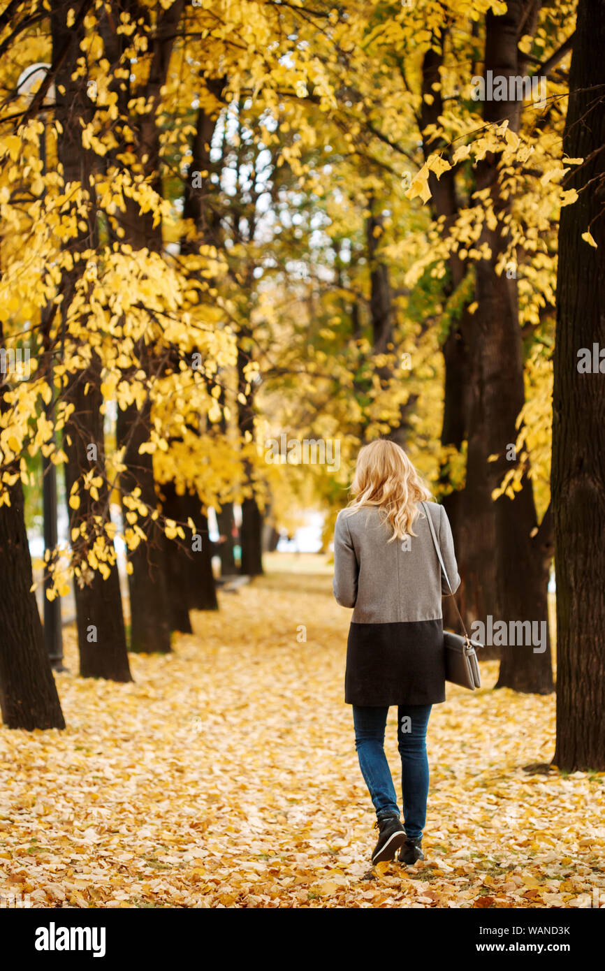 Woman walking away in autumn park with golden trees, full height Stock ...